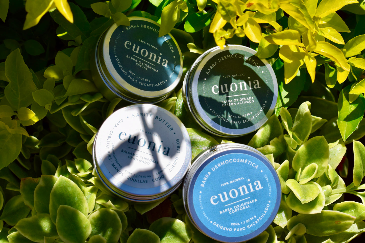 Euonia de viaje
