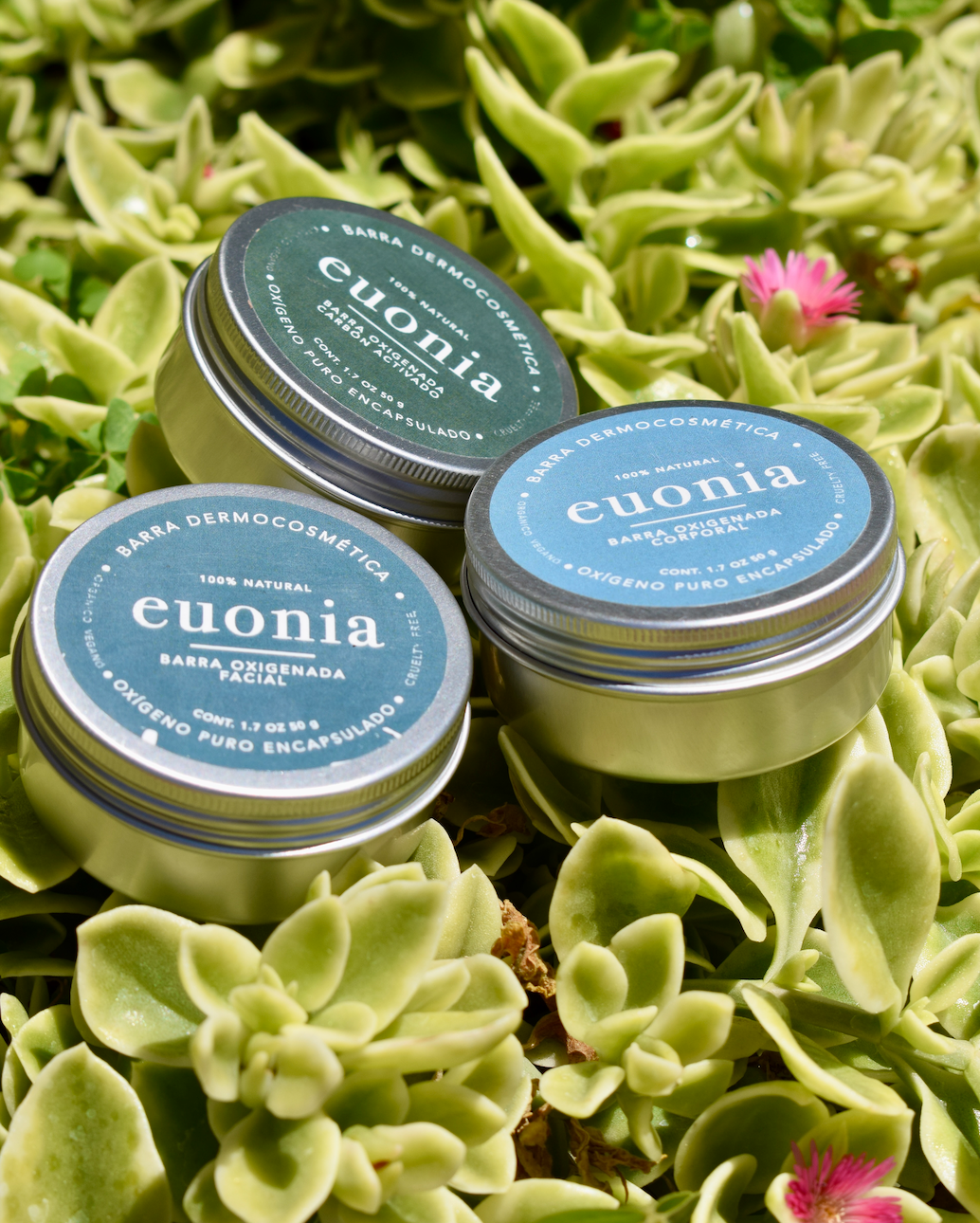 Euonia de viaje 3.0